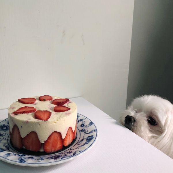 【免烤箱】特濃草莓生乳酪蛋糕:Jenny 一起做