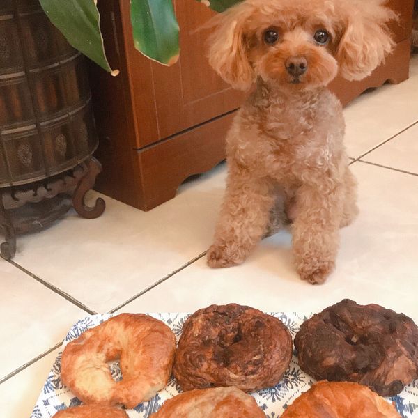 氣炸鍋做烘培-藍莓乳酪貝果 : hhc一起做