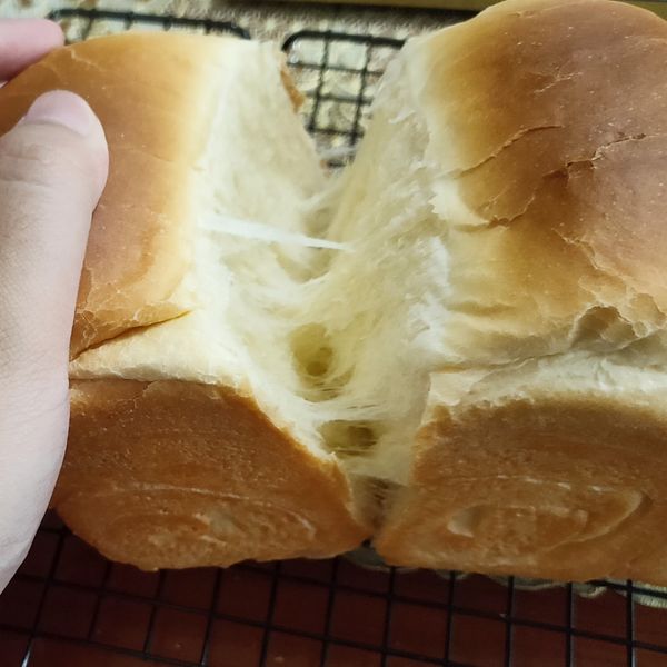 undefined：yayaya 一起做