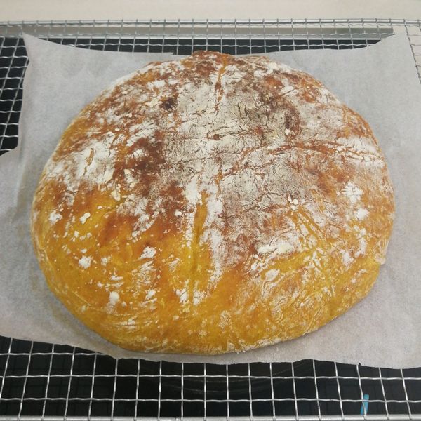 免揉南瓜麵包 : VanVan一起做