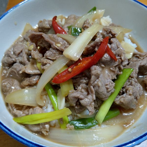 份量十足又好吃的蔥爆牛肉燴飯!(影片食譜：Wenyin 一起做