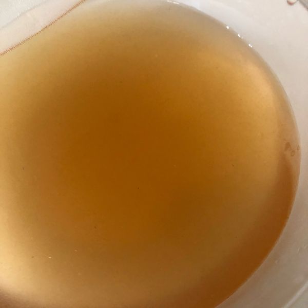 自製天然愛玉：celialin886 一起做