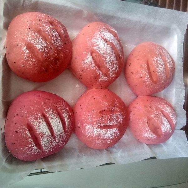 undefined：龍軏 一起做