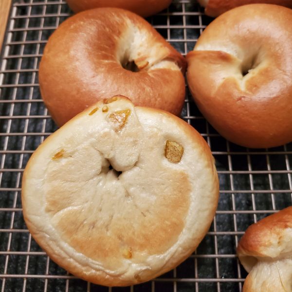 蔓越莓乳酪貝果【麥典實作工坊麵包專用粉】 : Huoyhuoy Huoy一起做