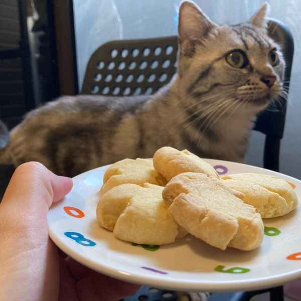 瑪格莉特餅乾 : 泰瑞｜新手廚房一起做