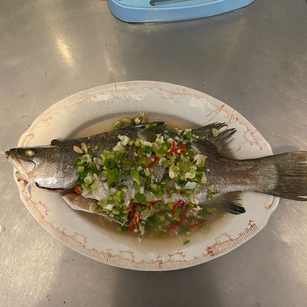 undefined：Yo Yomi 一起做