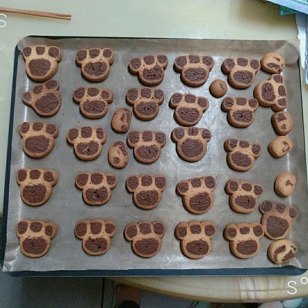 貓掌可可餅乾 : 綺一起做