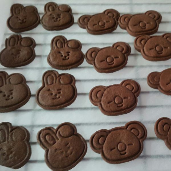 手工餅乾 杏仁巧克力 蔓越莓口味 : 梁蒟蒻一起做