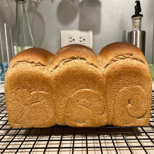 100%全麥土司-綿軟帶彈性:張心宇 一起做