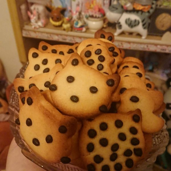 巧克力豆餅乾-小烤箱【烘焙展食譜募集】：Ya Wei Lin 一起做