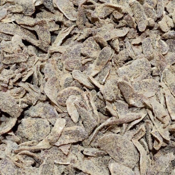 undefined：小真 一起做