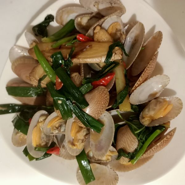 快炒海瓜子：V 一起做