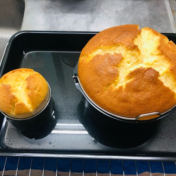 🍯柔軟綿密蜂蜜蛋糕🍯 : 米兒一起做