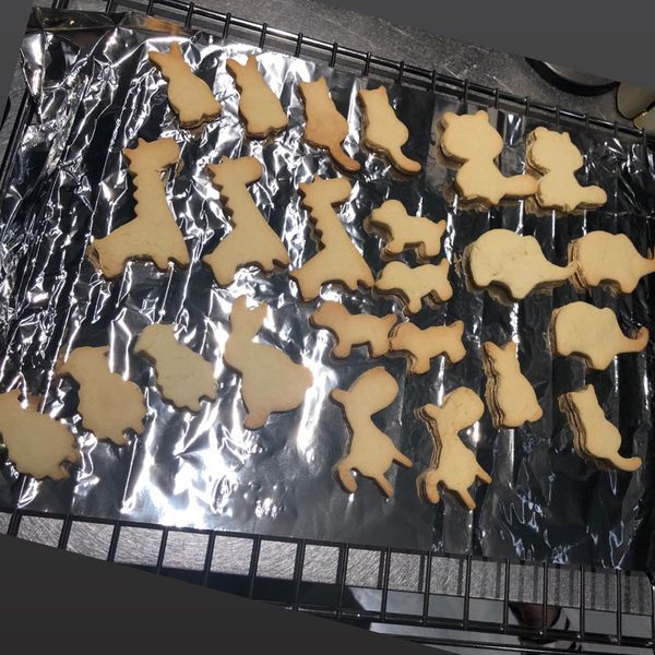 undefined：Jinjer Tüan 一起做