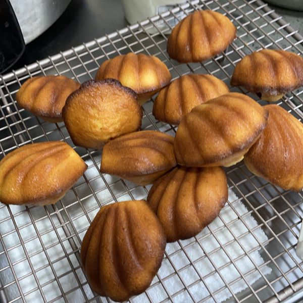 undefined：Roli Hung 一起做