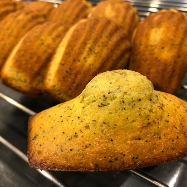 瑪德蓮伯爵紅茶口味 : 翁媽一起做