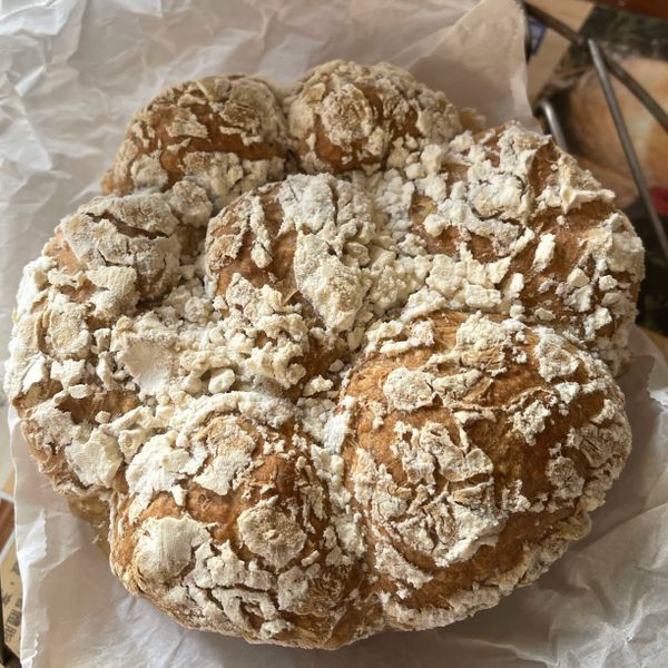 undefined：多莉 一起做