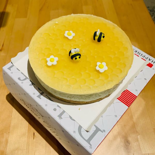 蜂蜜檸檬生乳酪蛋糕 (免烤箱) : 盧欣宜一起做