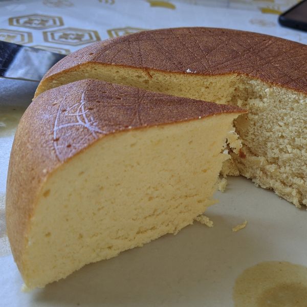 undefined：檸檬貓 一起做