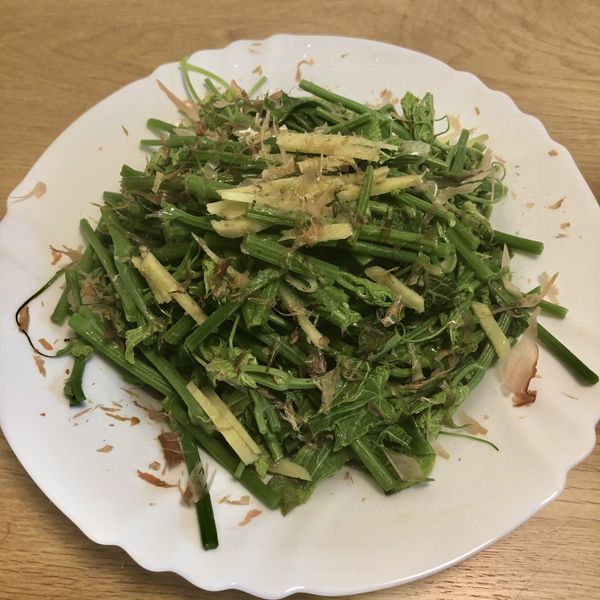 薑味龍鬚菜 /兩分鐘低脂輕鬆水油炒 : 綿羊一起做