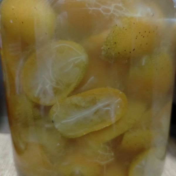 蜜金棗 : 楊雅惠一起做