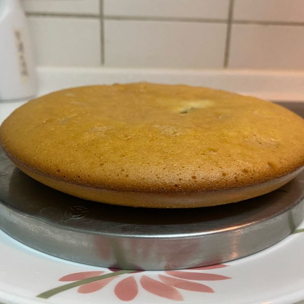 電子鍋版蜂蜜蛋糕 : 喬瑟芬喵一起做