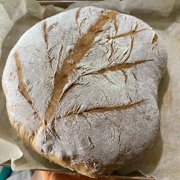 免揉歐式麵包 : 陳綺一起做