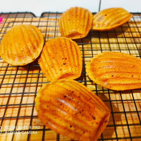 undefined：Peipei Chen 一起做