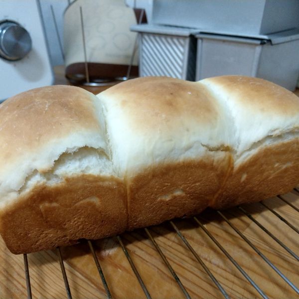 undefined：sabdra 一起做