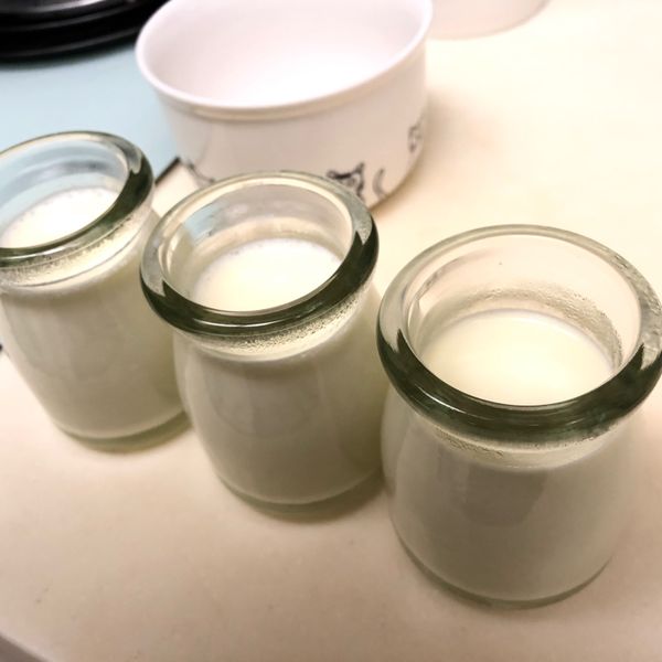 undefined：flower huang 一起做