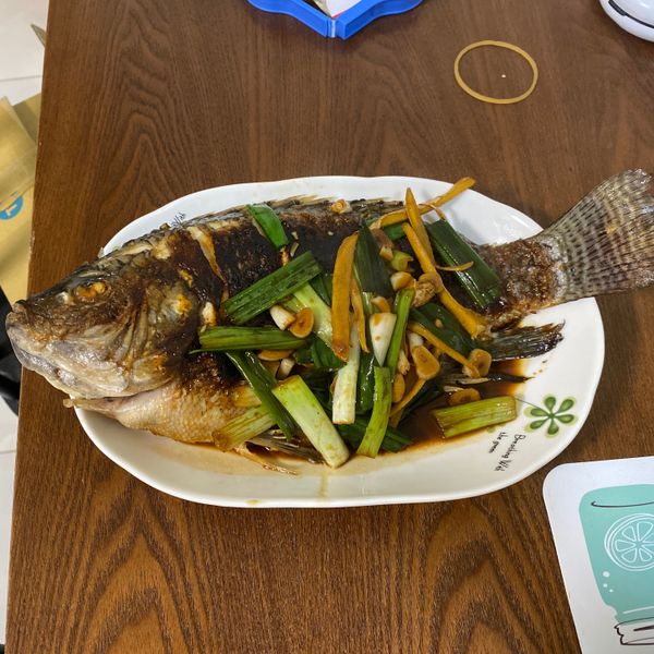 紅燒糖醋吳郭魚 : 張家綺一起做