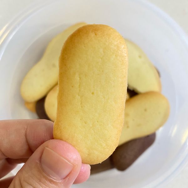 貓舌餅乾 : 小樹🌲一起做