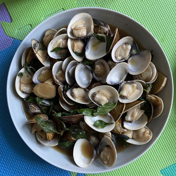 塔香蛤蜊：Letizia 一起做