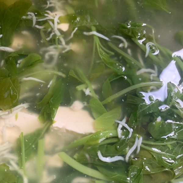 吻仔魚萈菜湯 : 鄭希妍一起做