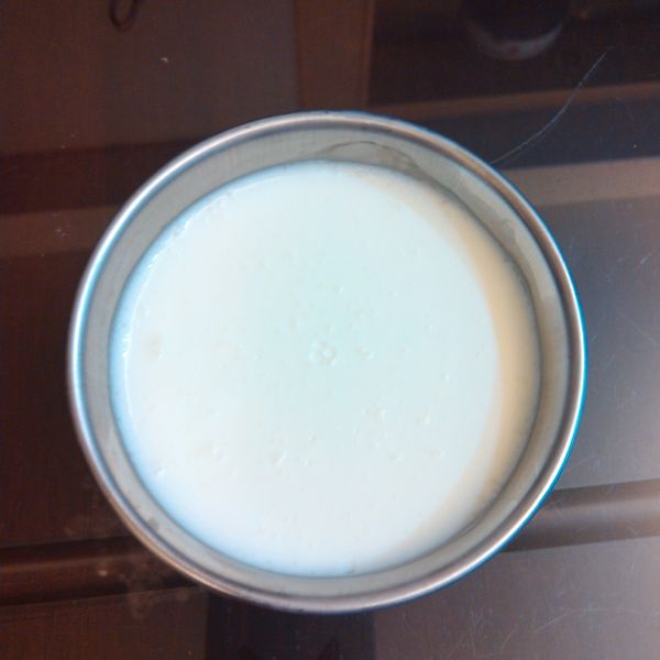 好吃的原味奶酪一次就上手! Classic Panna Cotta!!：baby 一起做