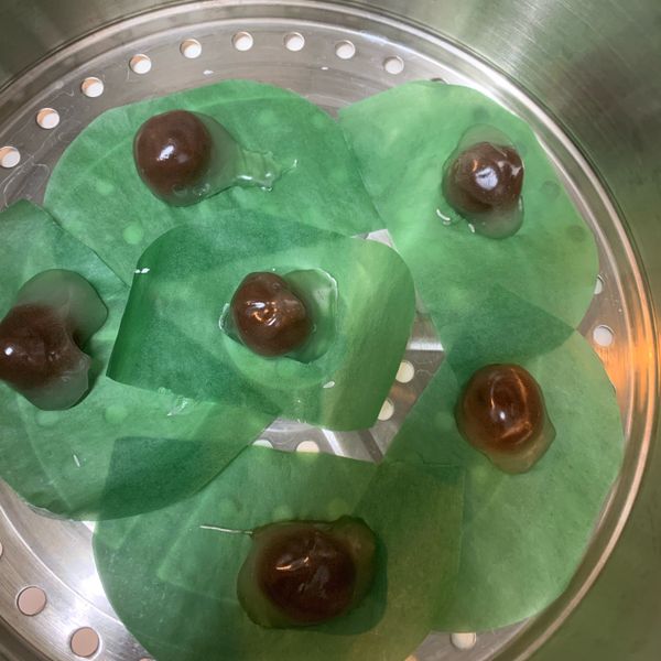 涼圓(影音)：白兔 一起做