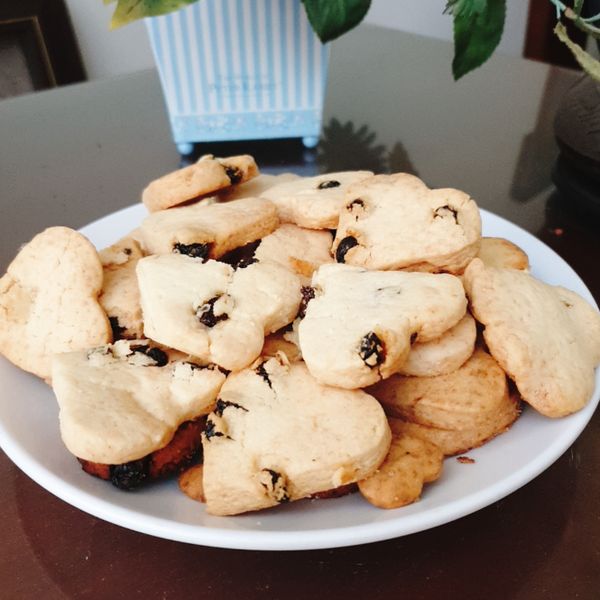 undefined：貓貓 一起做