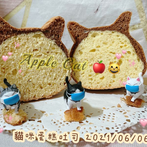 undefined：Apple Cat 🍎🐱 一起做