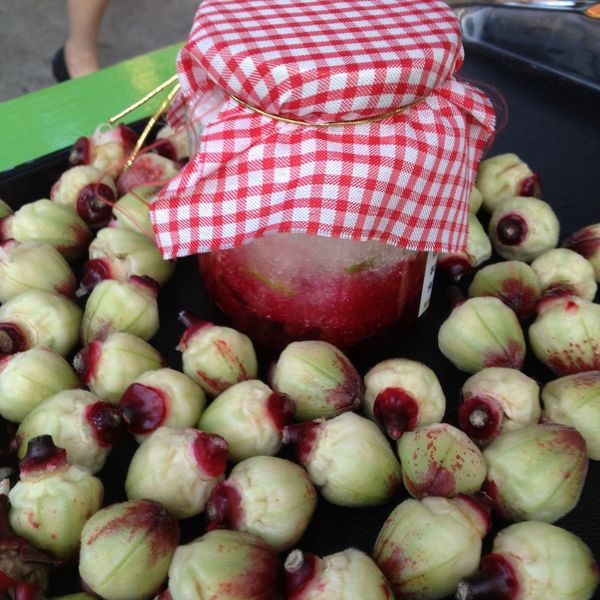 Y芬的小廚房--洛神花蜜餞(酸甜好滋味):Josie Chung 一起做