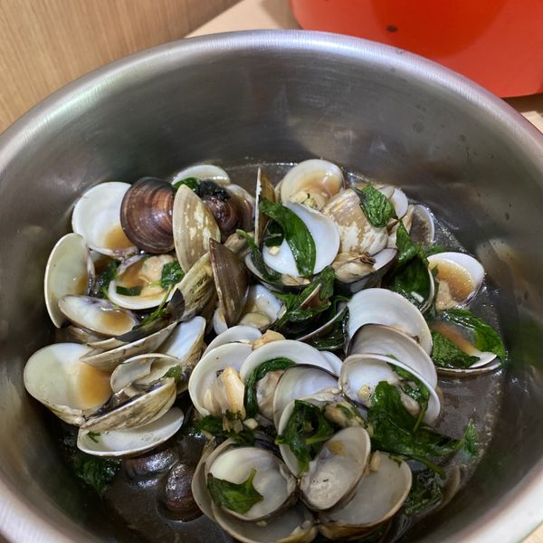 九層塔三杯蛤蜊：陳雅雅 一起做