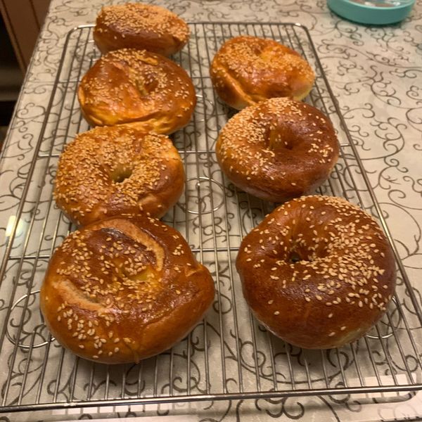 ‪‎鮮奶貝果‬(天然酵母) : 莫海娜一起做