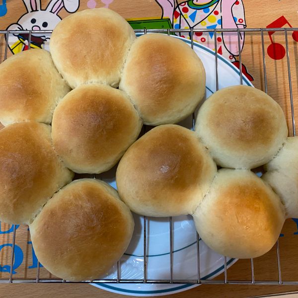 基本款~鮮奶小餐包 : 賴貞綾一起做