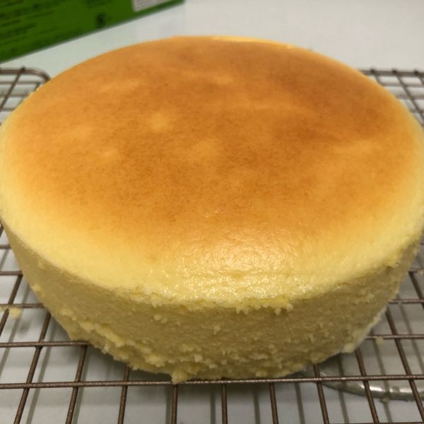 貓咪吃魚乾一起做