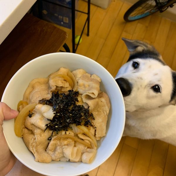 undefined：Demi Luan 一起做