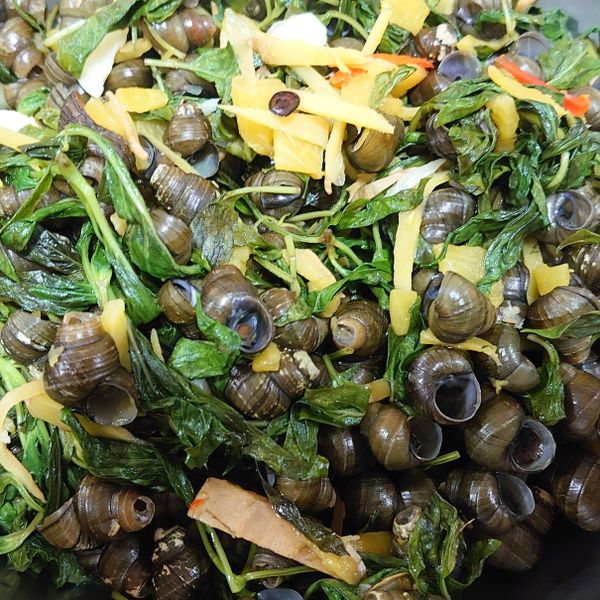 ♡塔香炒田螺♡：Bonnie 一起做