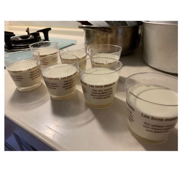 奶酪 : Zhang ya ting一起做