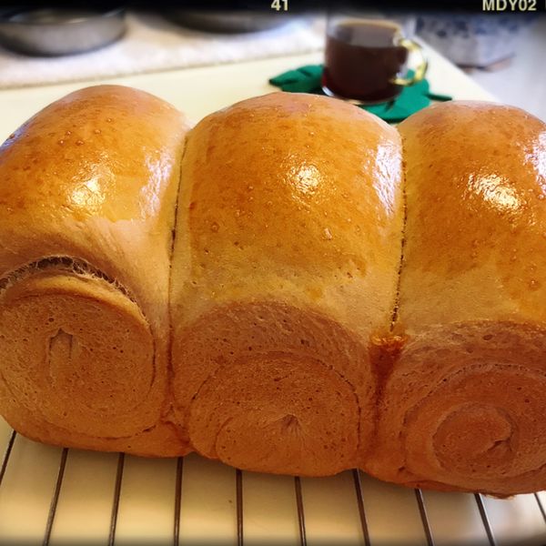 undefined：Cicada Wang 一起做