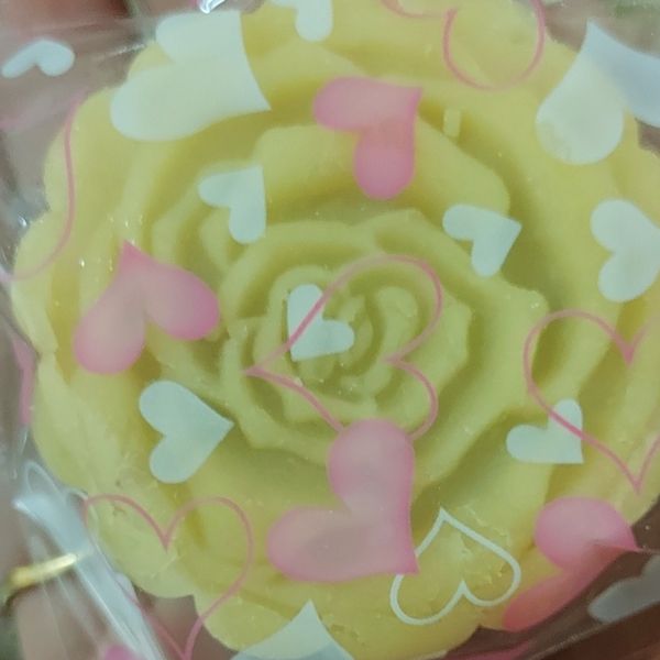 undefined：Shumei Chen 一起做