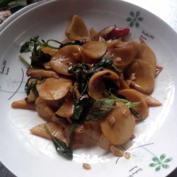 三杯杏鮑菇：蔡佩於 一起做