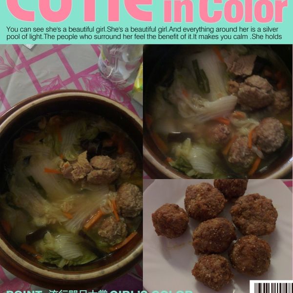 獅子頭滷白菜 : Bo Bi一起做